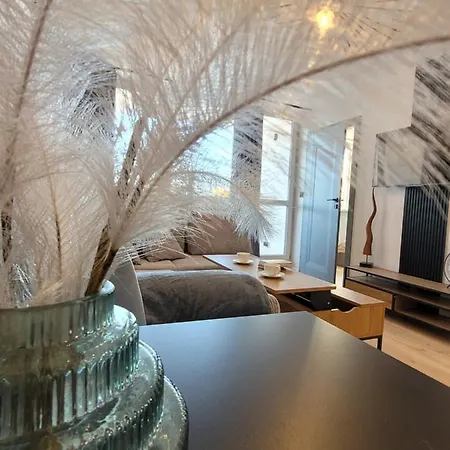 아파트 Apartament 8 Pietro *